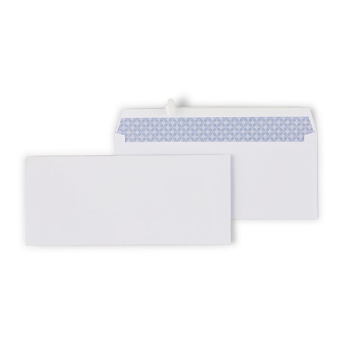 Custom Printed Envelopes